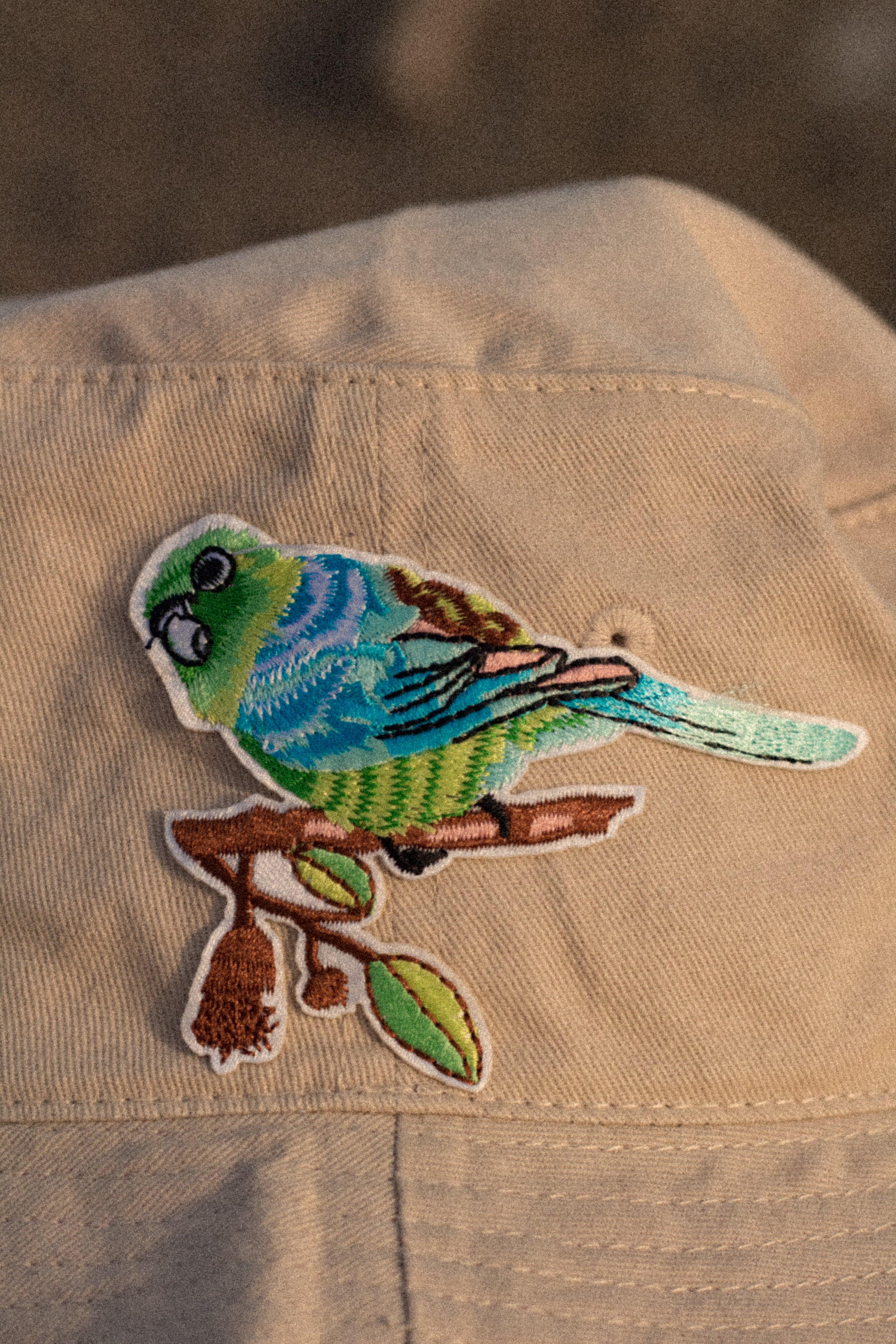 Bird Watcher 02