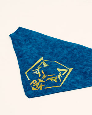Not Your Basic Dog Bandana